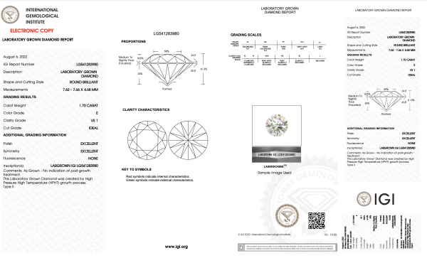 ZD-113 - Image 2