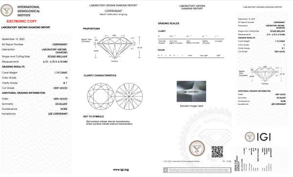 ZD-172 - Image 2