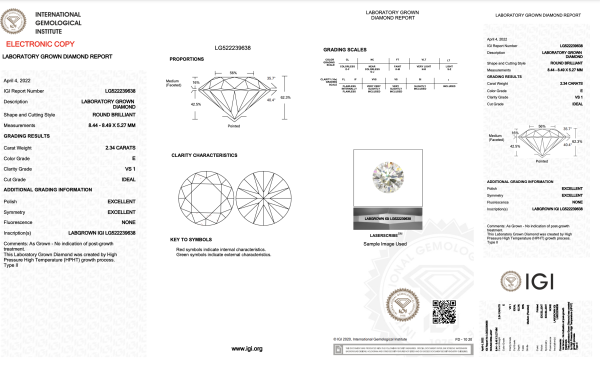 ZD-134 - Image 2