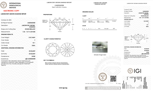 ZD-166 - Image 2